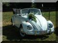 tem20032003_0824_154913AA.JPG