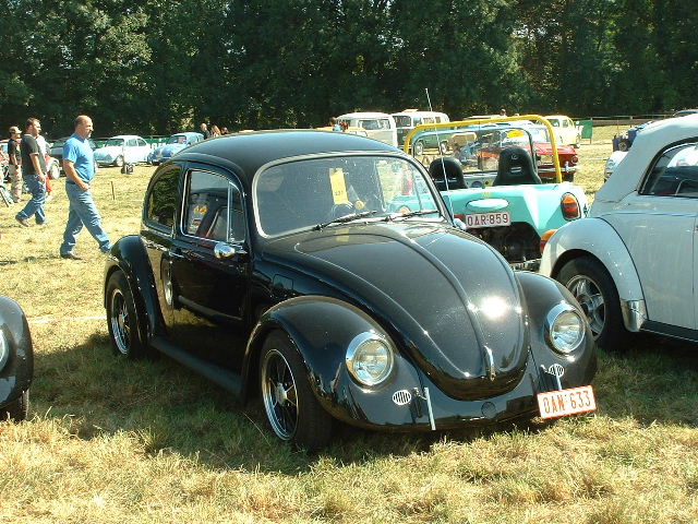 tem20032003_0824_152944AA.JPG