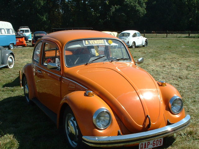 tem20032003_0824_153123AA.JPG