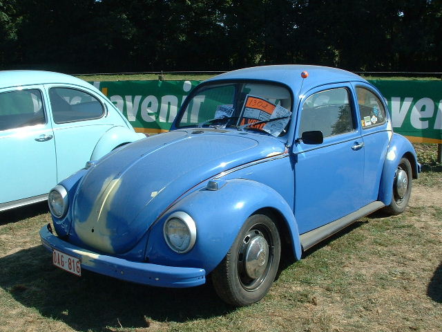 tem20032003_0824_154352AA.JPG