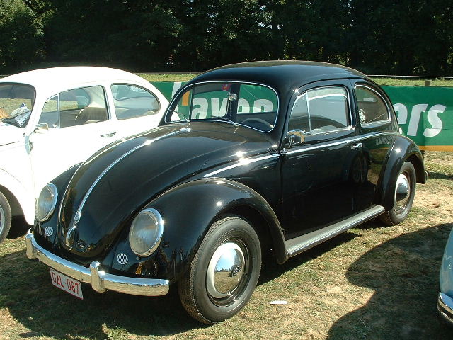 tem20032003_0824_154417AA.JPG