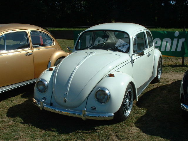 tem20032003_0824_154434AA.JPG