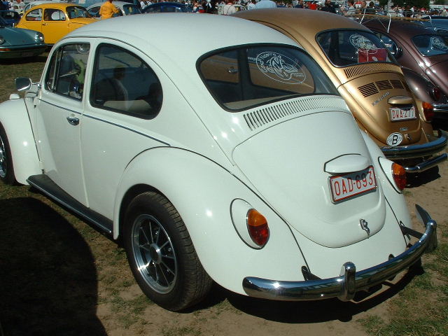 tem20032003_0824_154459AA.JPG