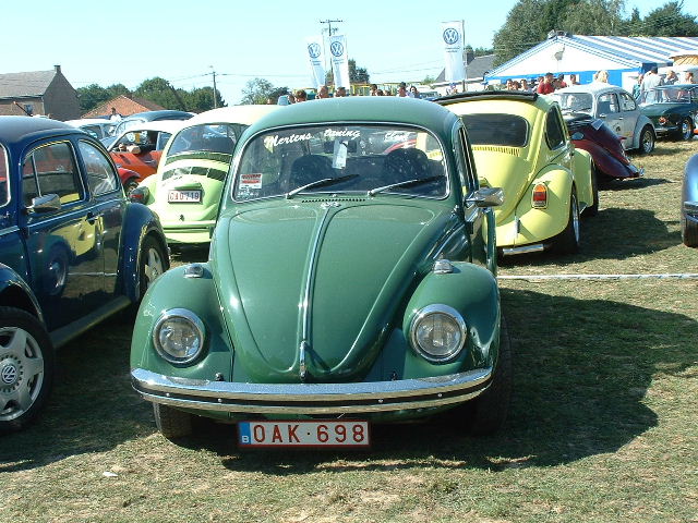 tem20032003_0824_154520AA.JPG