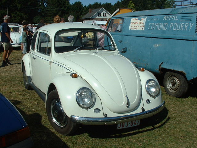tem20032003_0824_154609AA.JPG