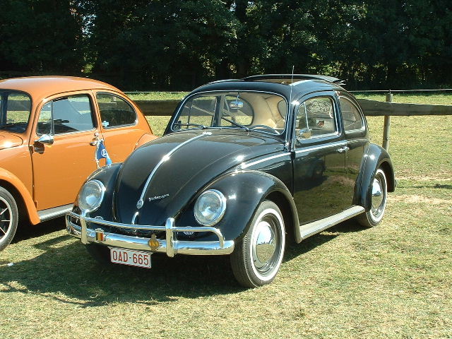 tem20032003_0824_154645AA.JPG