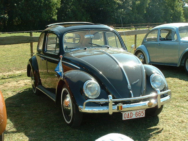 tem20032003_0824_154734AA.JPG