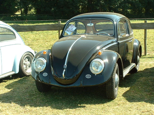 tem20032003_0824_154817AA.JPG