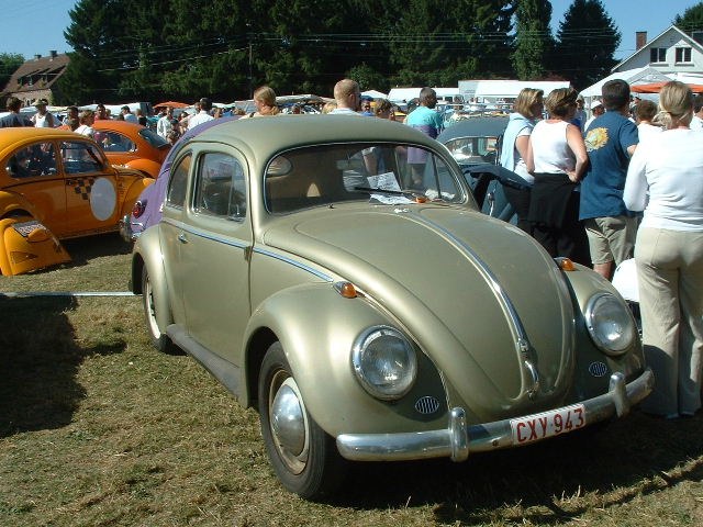tem20032003_0824_154902AA.JPG