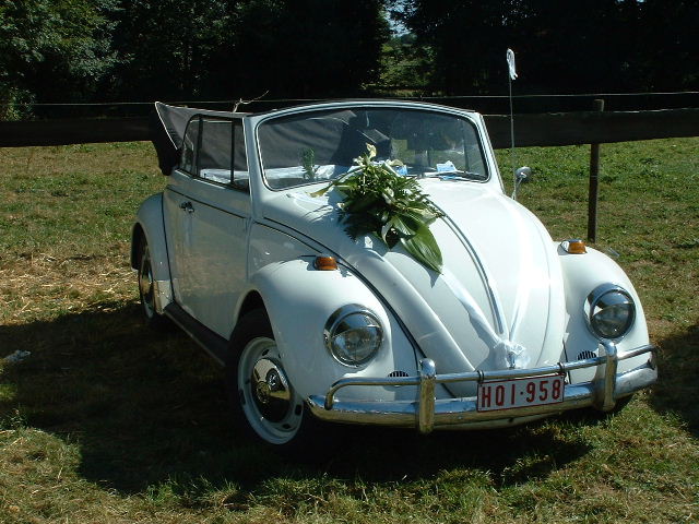 tem20032003_0824_154913AA.JPG