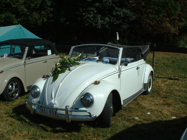 tem20032003_0824_154925AA.JPG