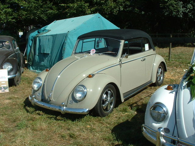 tem20032003_0824_154934AA.JPG