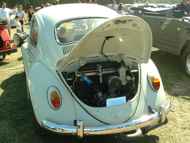 tem20032003_0824_155041AA.JPG