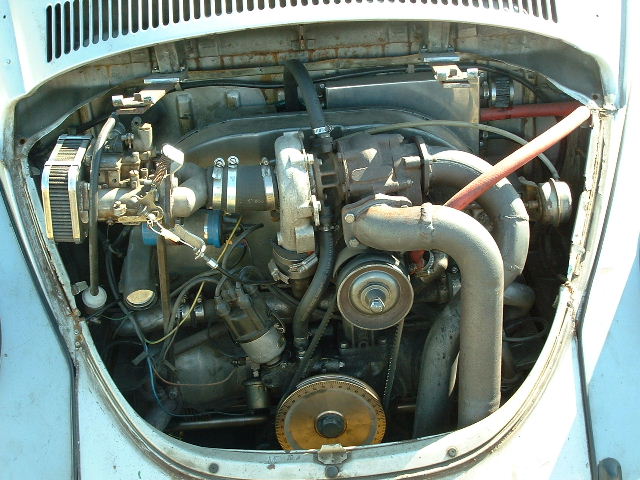 tem20032003_0824_155333AA.JPG