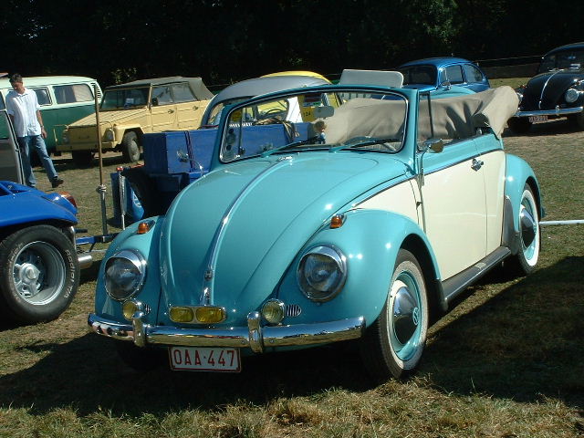 tem20032003_0824_155514AA.JPG