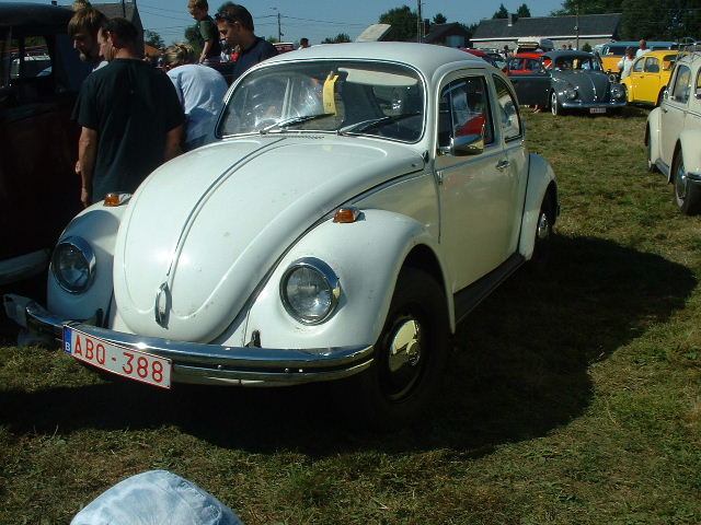 tem20032003_0824_155640AA.JPG