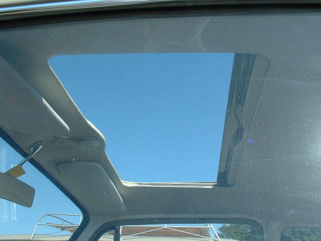 tem20032003_0824_160059AA.JPG