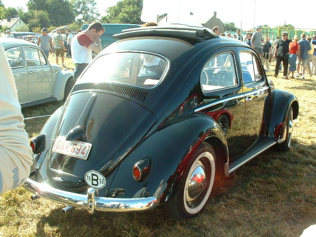 tem20032003_0824_164037AA.JPG