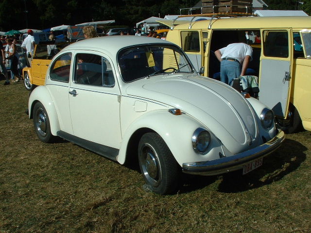 tem20032003_0824_164233AA.JPG