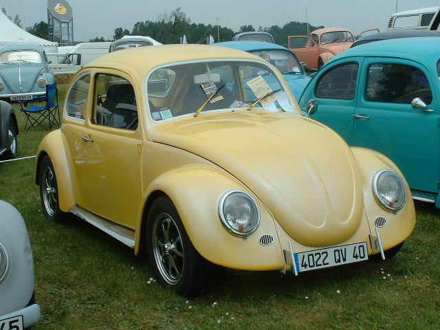 DSCF0095.JPG