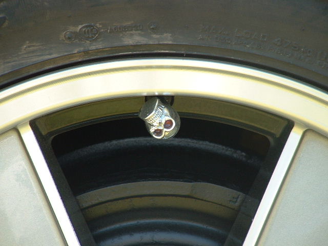 DSCF0192.JPG